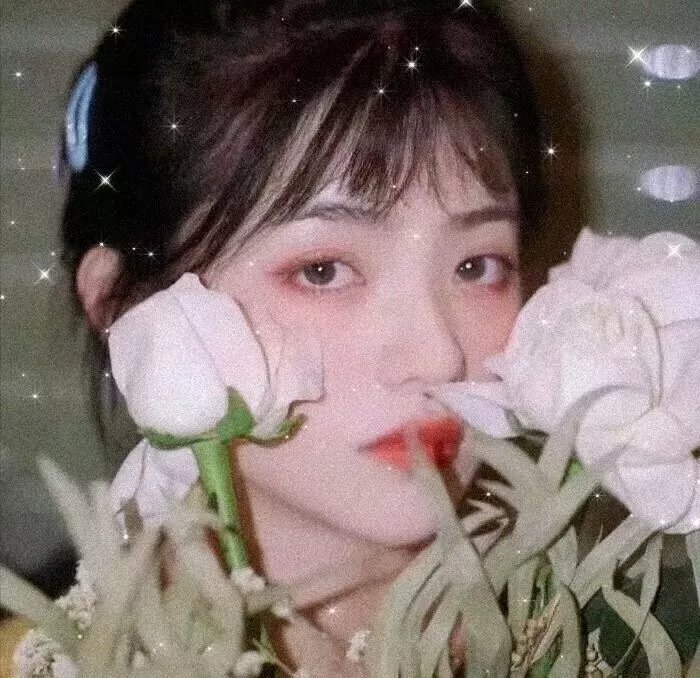 好莱坞,我爱你