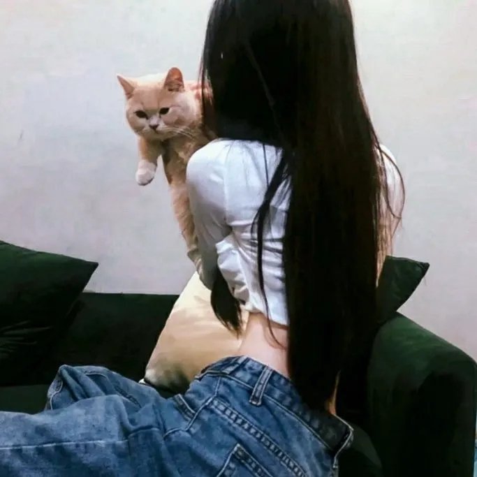 系